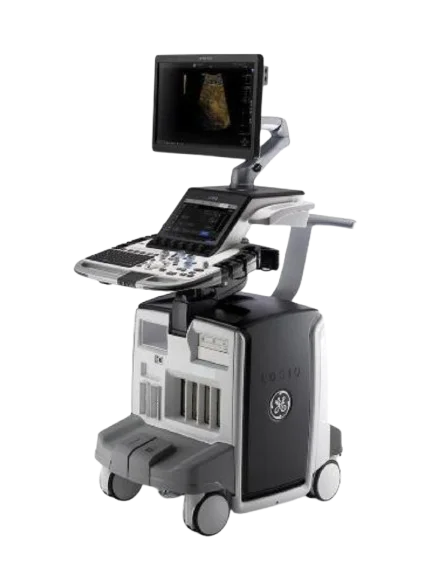 GE LOGIQ E10